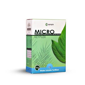 کی پلکس میکرو (میکروکمپلکس)