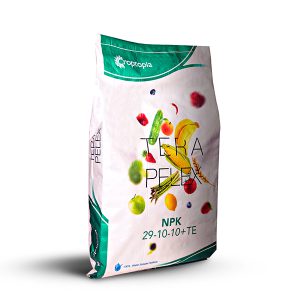 تراپلکس 10-10-29