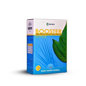 کی پلکس بوستر