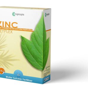 کی پلکس روی