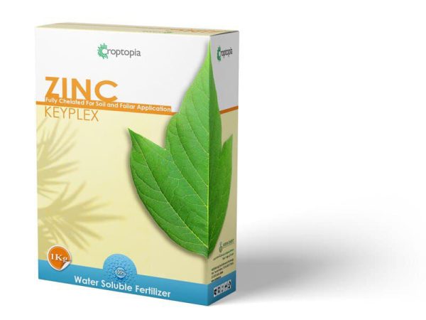 کی پلکس روی